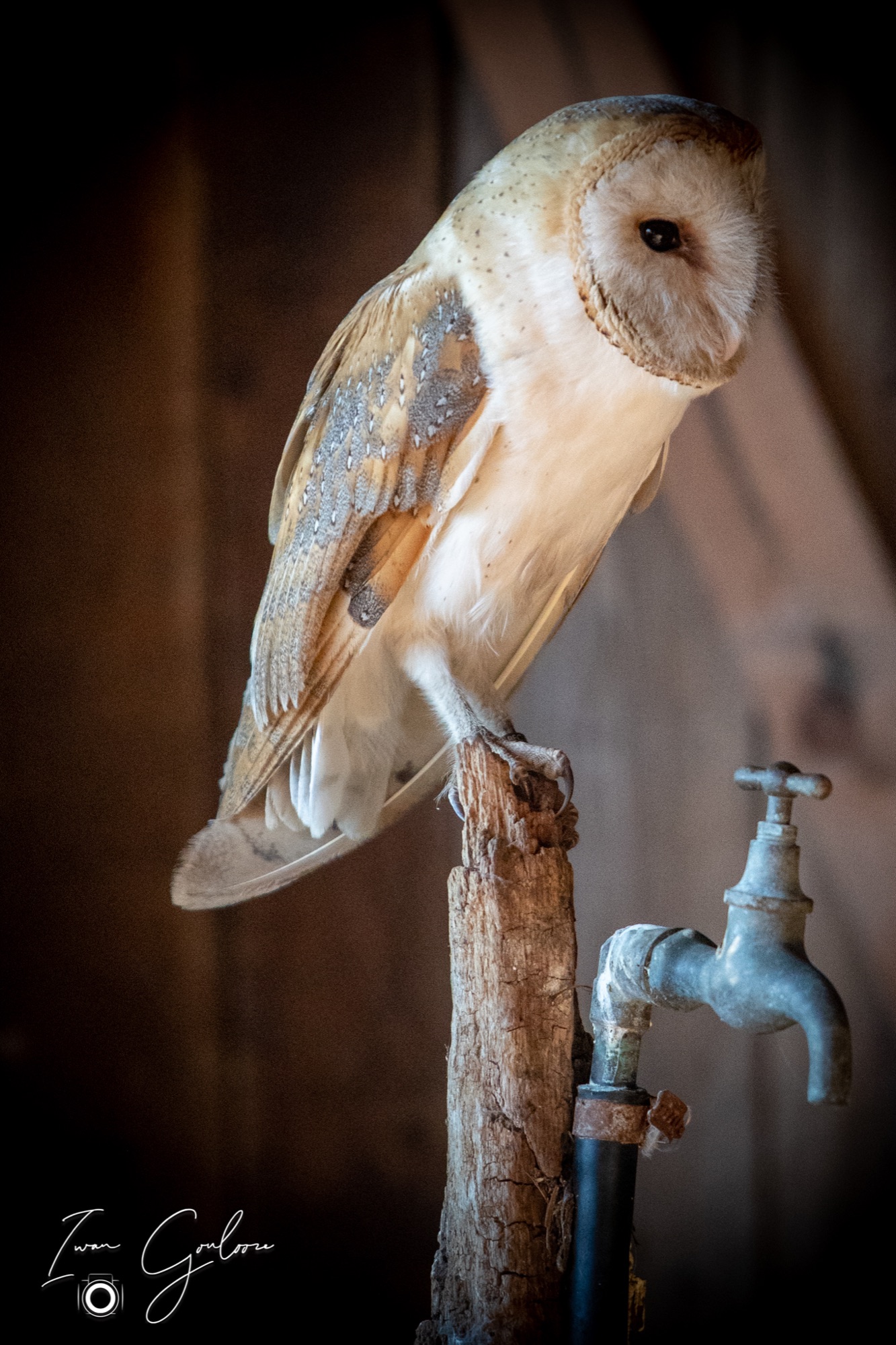 04 maart 2022 160938 1DX44203